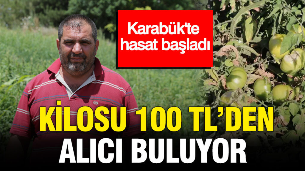 Karabük’te hasat başladı: Kilosu 100 TL’den alıcı buluyor