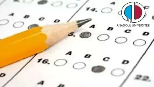 AÖF yaz okulu sınav sonuçları ne zaman açıklanacak? Anadolu Üniversitesi AÖF yaz okulu sınav sonuçları nereden ve nasıl sorgulanır?
